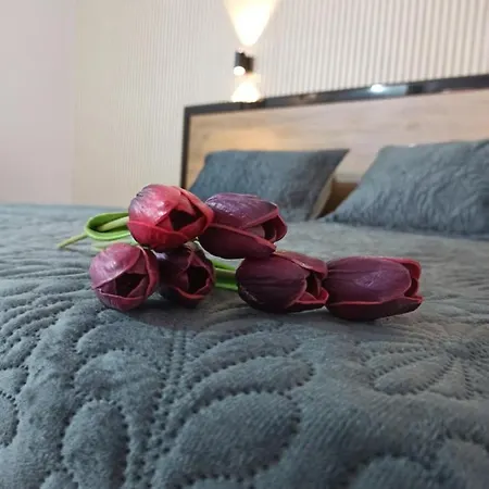 Suevari Hotel 2*