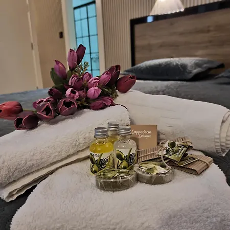 Suevari 阿克萨赖