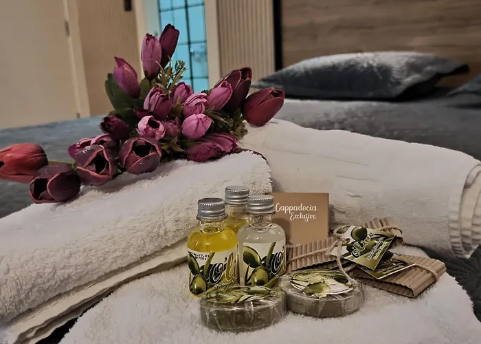 Suevari 阿克萨赖