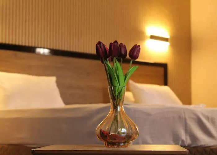 Suevari 阿克萨赖