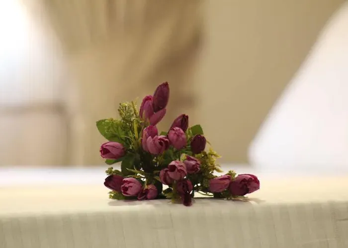 Suevari 2* 阿克萨赖